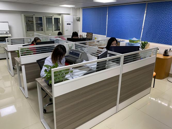 东莞晟进精密模具
