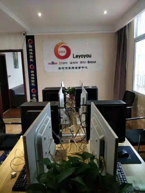 安康睿翼晟网络科技欢迎您